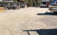 Driftwood - thumb 1