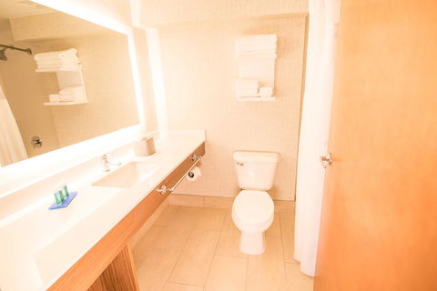 Holiday Inn Express Atlanta-Stone Mountain - LBG 2