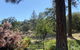 Kin House - thumb 3