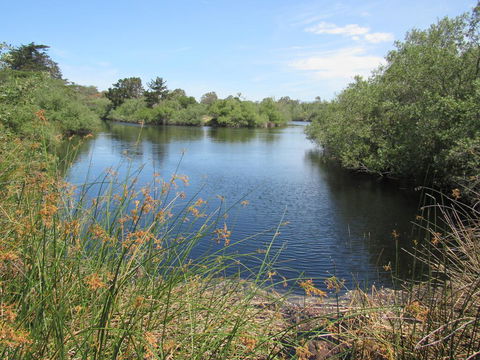 Kings Castle - LBG 1