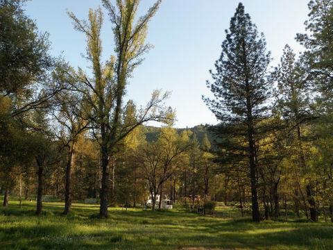 Little Red Caboose - LBG 0