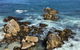 Monterey Fairgrounds Inn - thumb 3