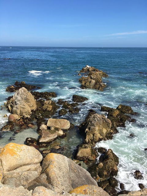 Monterey Fairgrounds Inn - LBG 3