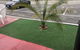 Mount-N-Lake Motel - thumb 2