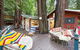 Mt. Hermon Treehouse - thumb 0