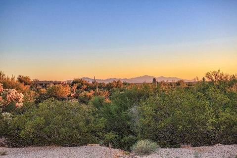 Saguaro Serenity 3 BR By Casago - LBG 2