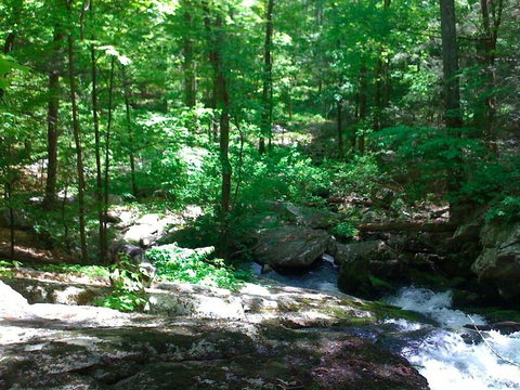 Tentrr - Grotto View At Stone Mountain - LBG 1
