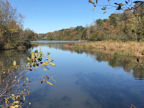 Tentrr - Happy Tales Campsite - LBG 1