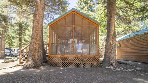 The Cottonwood Cabin #17 - LBG 3