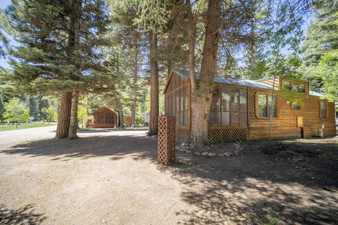 The Cottonwood Cabin #17 - LBG 2