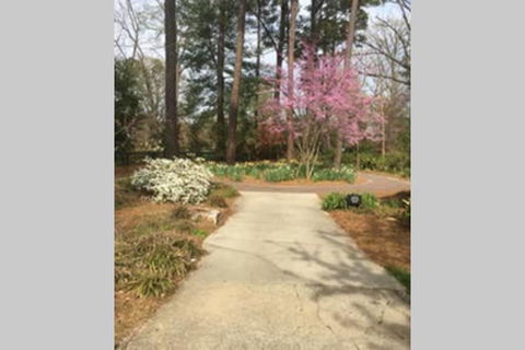 The Mill Hippie - LBG 1