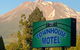 Townhouse Motel - thumb 1
