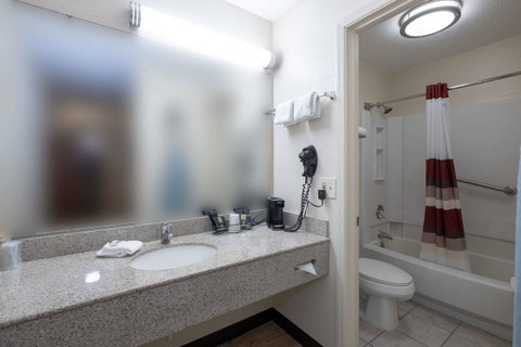 Red Roof Inn & Suites Dothan - LBG 24