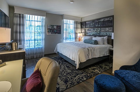 Hotel Indigo - Birmingham Five Points S - UAB - LBG 14