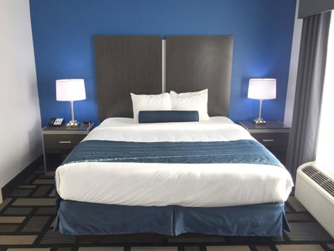 Best Western Plus Birmingham Inn & Suites - LBG 21