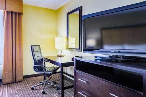 Holiday Inn Mobile Airport - LBG 22