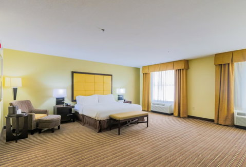 Holiday Inn Mobile Airport - LBG 19
