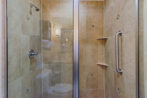 Holiday Inn Mobile Airport - LBG 6