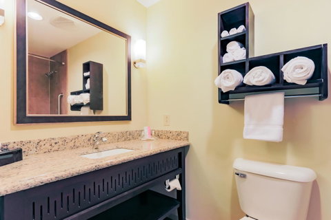 Holiday Inn Mobile Airport - LBG 4
