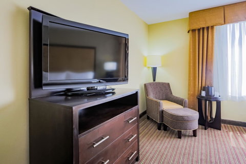 Holiday Inn Mobile Airport - LBG 8