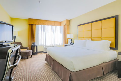 Holiday Inn Mobile Airport - LBG 9
