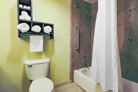 Holiday Inn Mobile Airport - LBG 12