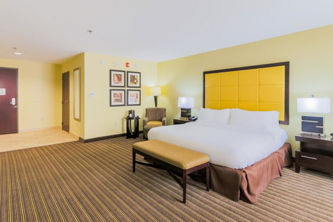 Holiday Inn Mobile Airport - LBG 18