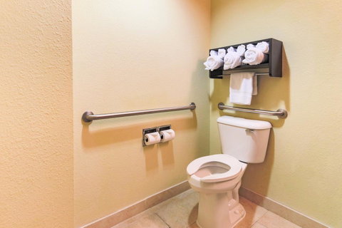 Holiday Inn Mobile Airport - LBG 21