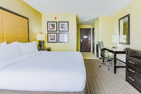 Holiday Inn Mobile Airport - LBG 7