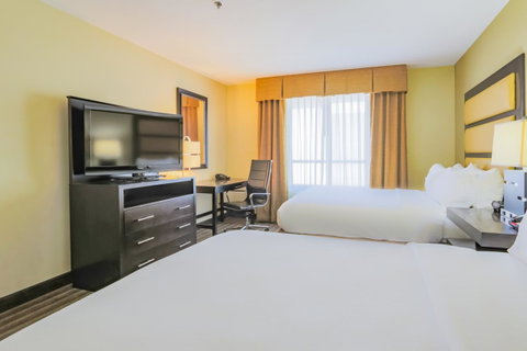 Holiday Inn Mobile Airport - LBG 24