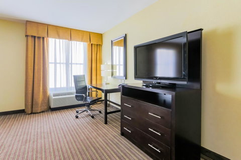 Holiday Inn Mobile Airport - LBG 16