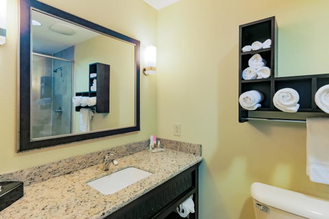 Holiday Inn Mobile Airport - LBG 5