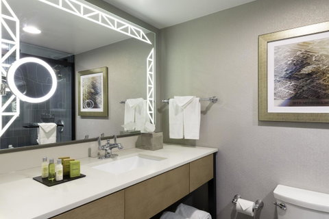 DoubleTree Birmingham Perimeter Park - LBG 25