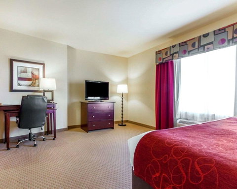Comfort Suites Florence Shoals Area - LBG 12