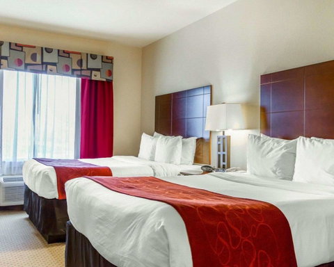 Comfort Suites Florence Shoals Area - LBG 25