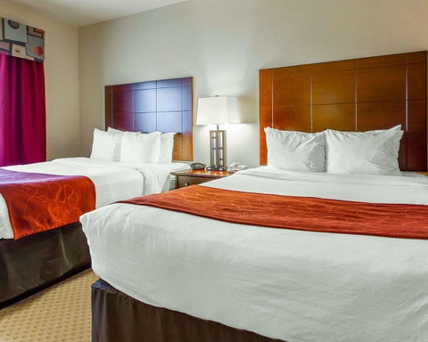 Comfort Suites Florence Shoals Area - LBG 3