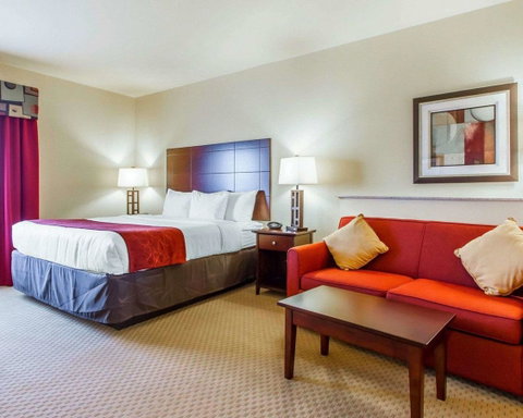 Comfort Suites Florence Shoals Area - LBG 9