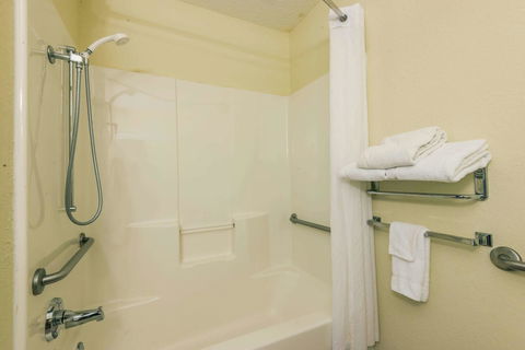 Microtel Inn & Suites By Wyndham Auburn - LBG 10