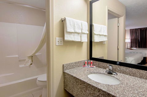 Econo Lodge Auburn Near University - LBG 13