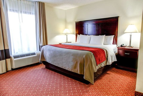 Comfort Inn Birmingham Homewood - LBG 4