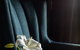 GunRunner Boutique Hotel - thumb 26