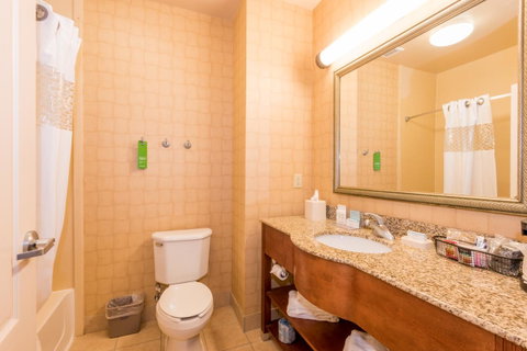 Hampton Inn Enterprise - LBG 10