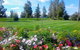 Alaska Country Inn - thumb 13