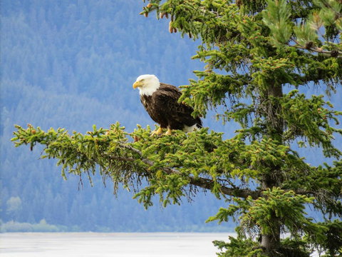 Suite 2 Lynn View Lodge - LBG 12