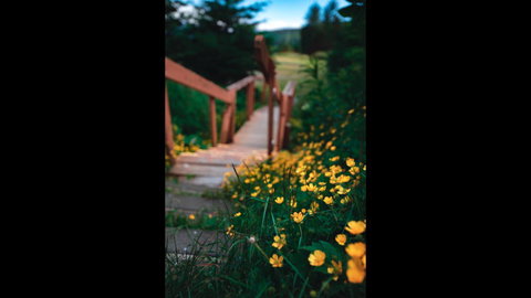 Suite 2 Lynn View Lodge - LBG 5