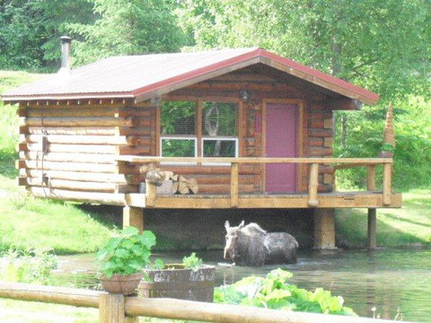 Bear Creek Lodge Alaska - LBG 31