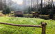 Bear Creek Lodge Alaska - thumb 27
