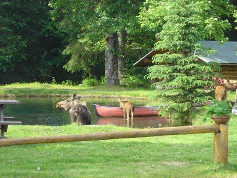 Bear Creek Lodge Alaska - LBG 42