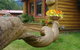 Bear Creek Lodge Alaska - thumb 30