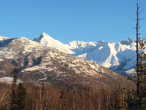 Alaska Knotty Pine B&B - LBG 38